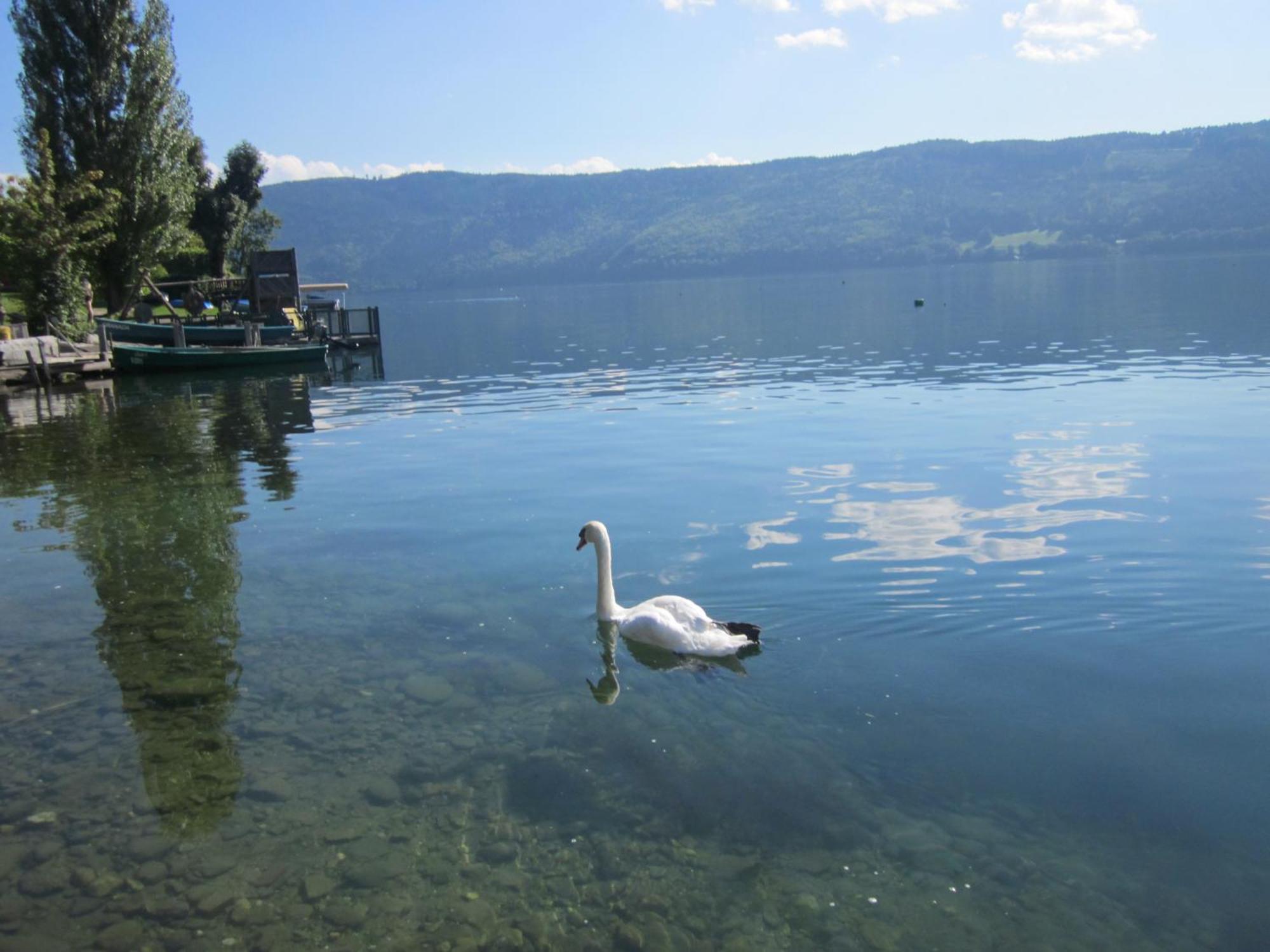 Ferienwohnung Moser Am See Millstatt Exterior foto